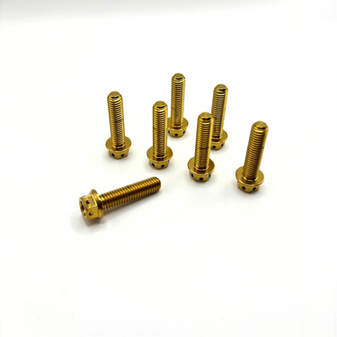 KTM IGNITION COVER BOLTS